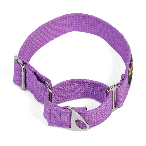 Let's Wag Martingale Fabric Collar for Dogs (Purple) - Image 2