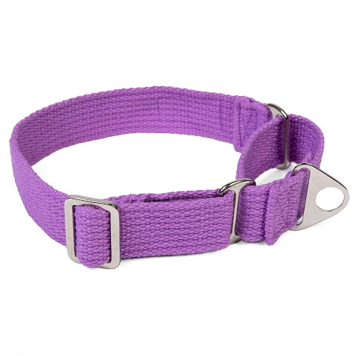 Let's Wag Martingale Fabric Collar for Dogs (Purple) - Image 4