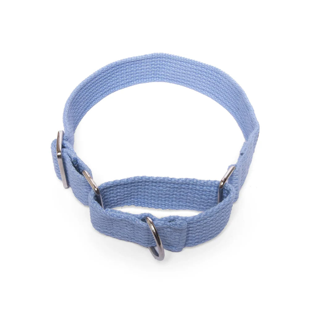 Let's Wag Martingale Fabric Collar for Dogs (Sky Blue) - Image 3