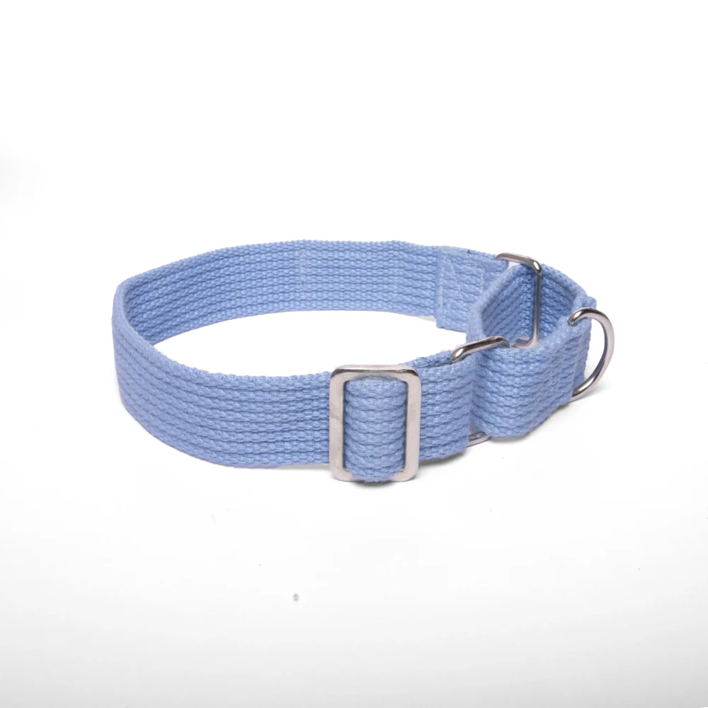 Let's Wag Martingale Fabric Collar for Dogs (Sky Blue) - Image 5