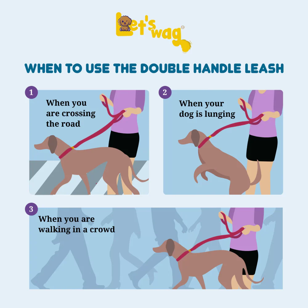Let's Wag Multi Purpose Leash for Dogs (Black) - Image 3