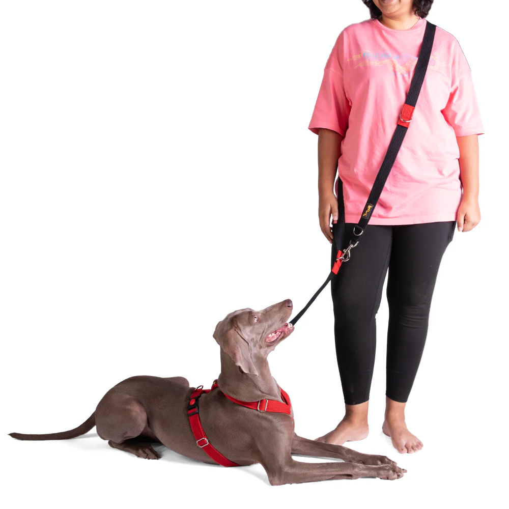 Let's Wag Multi Purpose Leash for Dogs (Black) - Image 4