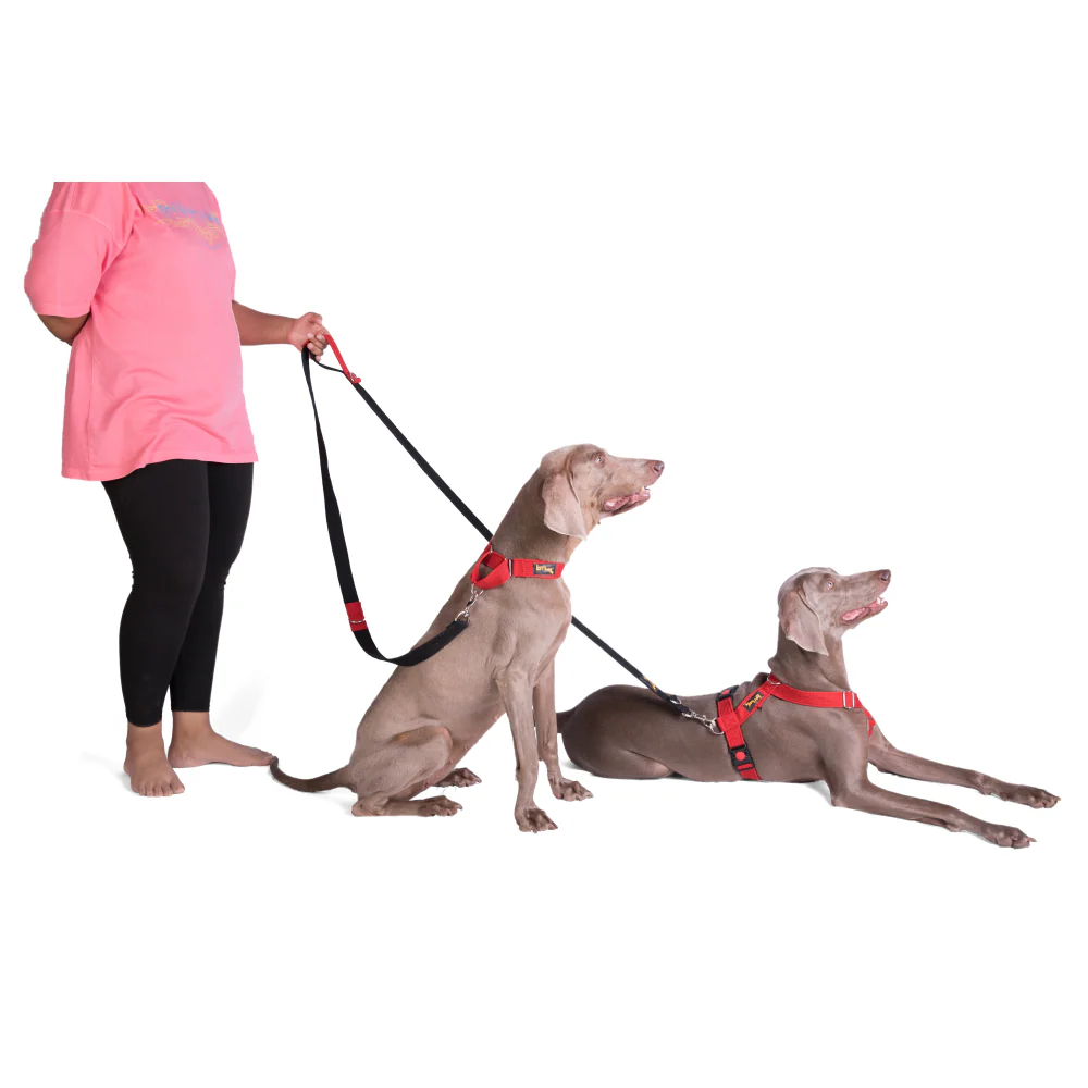Let's Wag Multi Purpose Leash for Dogs (Black) - Image 5
