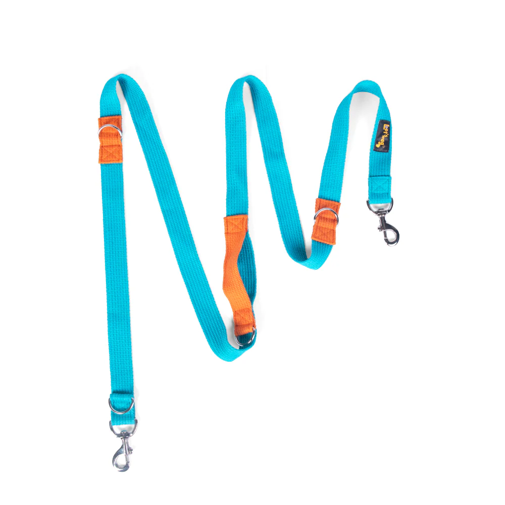 Let's Wag Multi Purpose Leash for Dogs (Cobalt Blue)