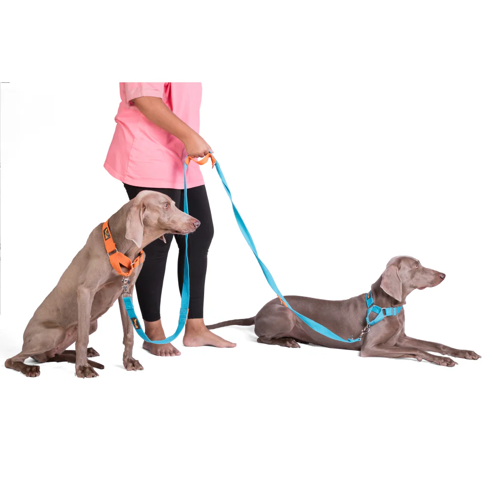 Let's Wag Multi Purpose Leash for Dogs (Cobalt Blue) - Image 5