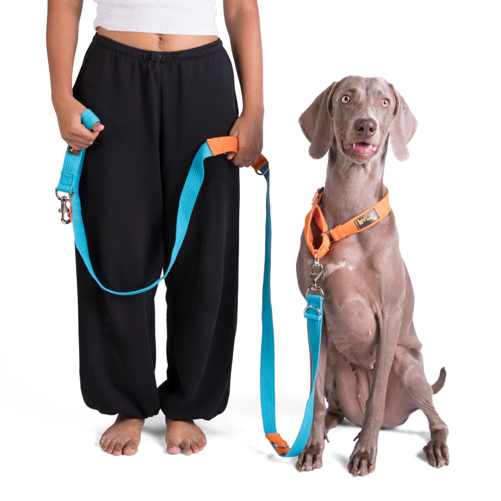 Let's Wag Multi Purpose Leash for Dogs (Cobalt Blue) - Image 6