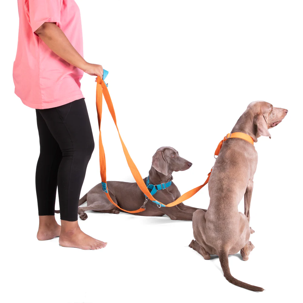 Let's Wag Multi Purpose Leash for Dogs (Orange) - Image 4
