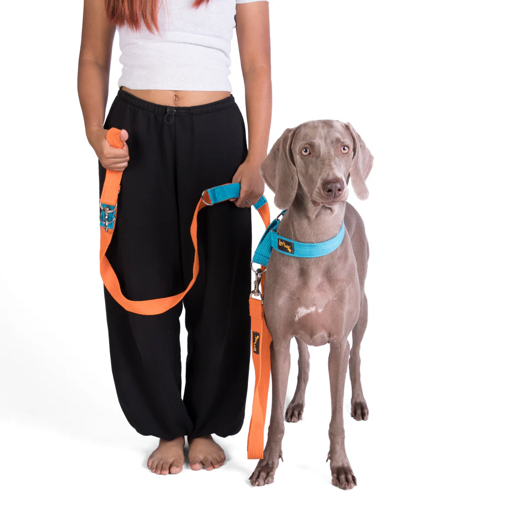 Let's Wag Multi Purpose Leash for Dogs (Orange) - Image 5