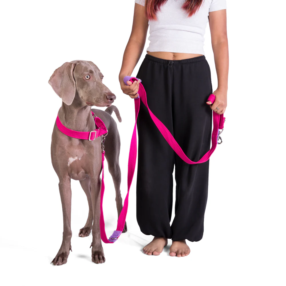 Let's Wag Multi Purpose Leash for Dogs (Pink) - Image 4