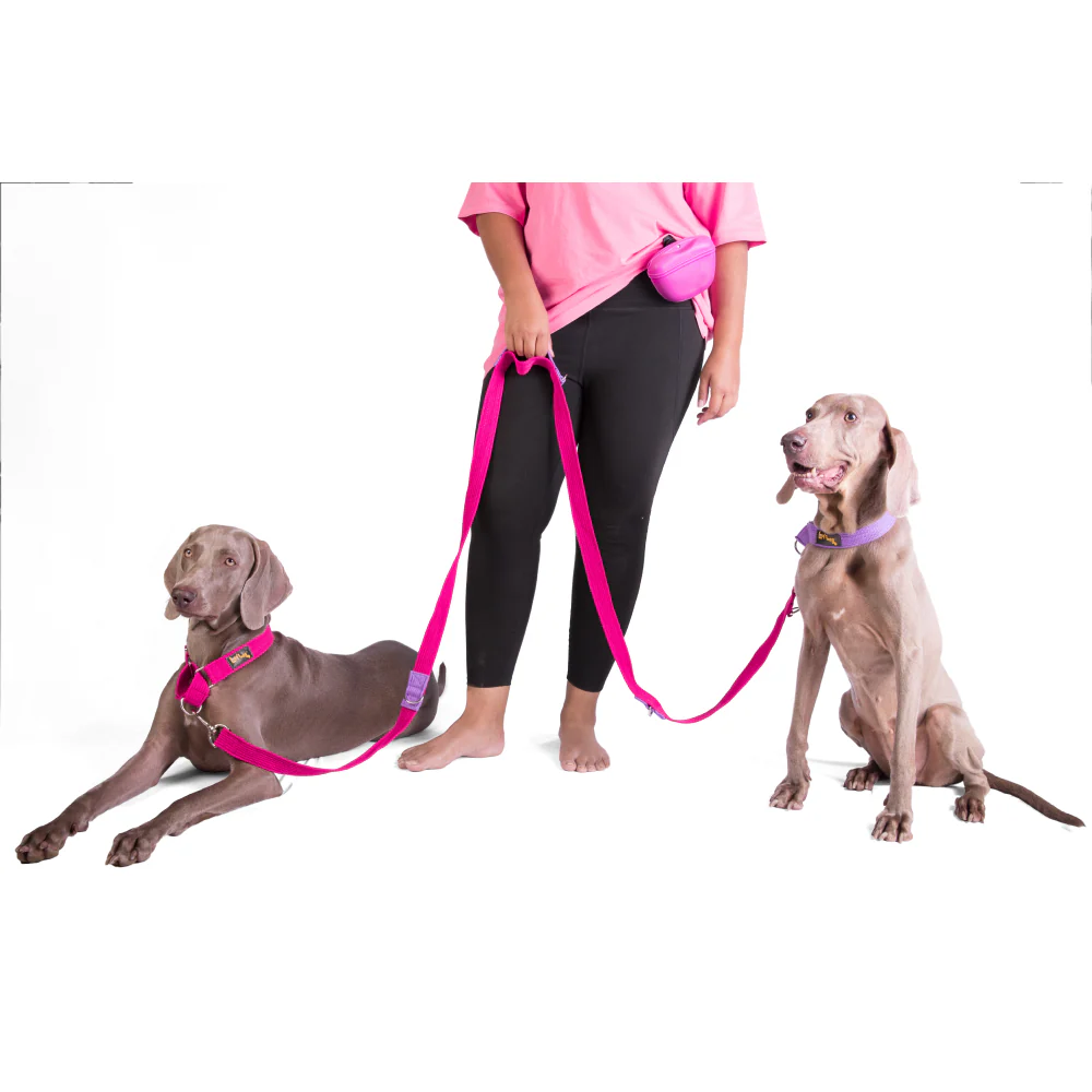 Let's Wag Multi Purpose Leash for Dogs (Pink) - Image 5
