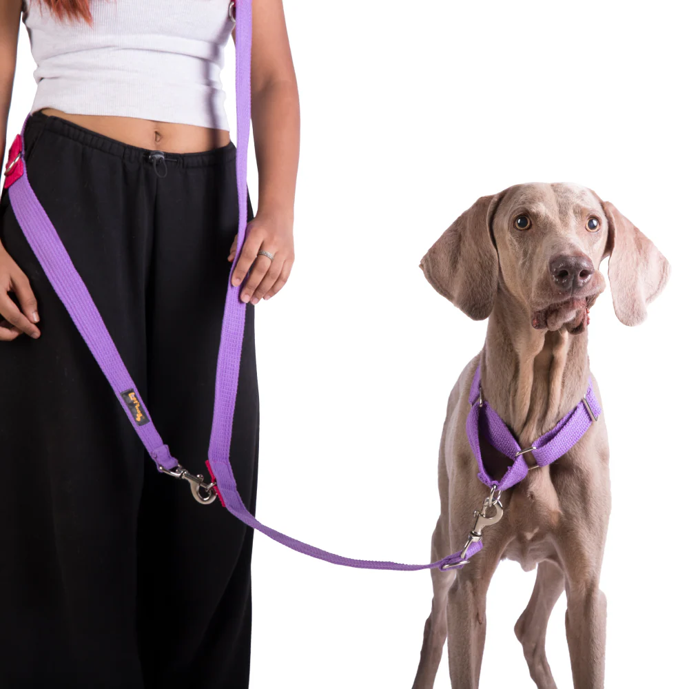 Let's Wag Multi Purpose Leash for Dogs (Purple) - Image 4