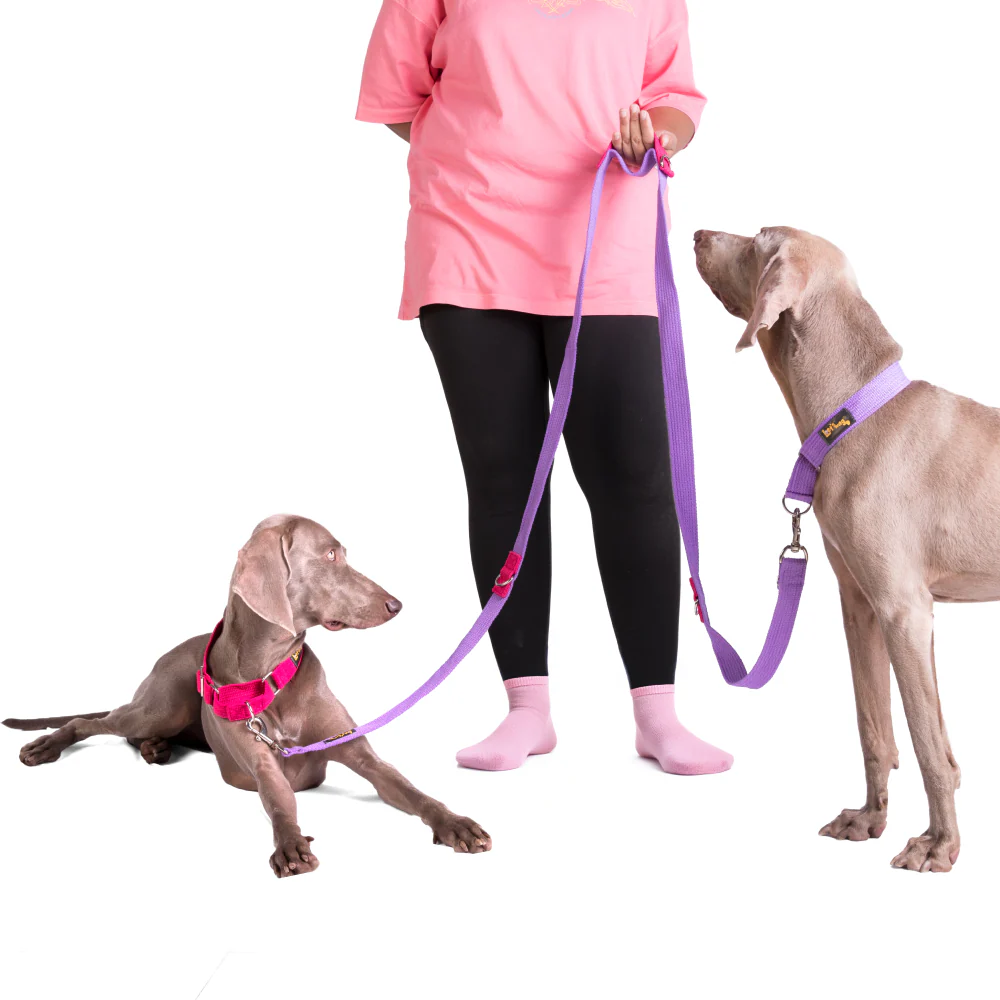 Let's Wag Multi Purpose Leash for Dogs (Purple) - Image 5