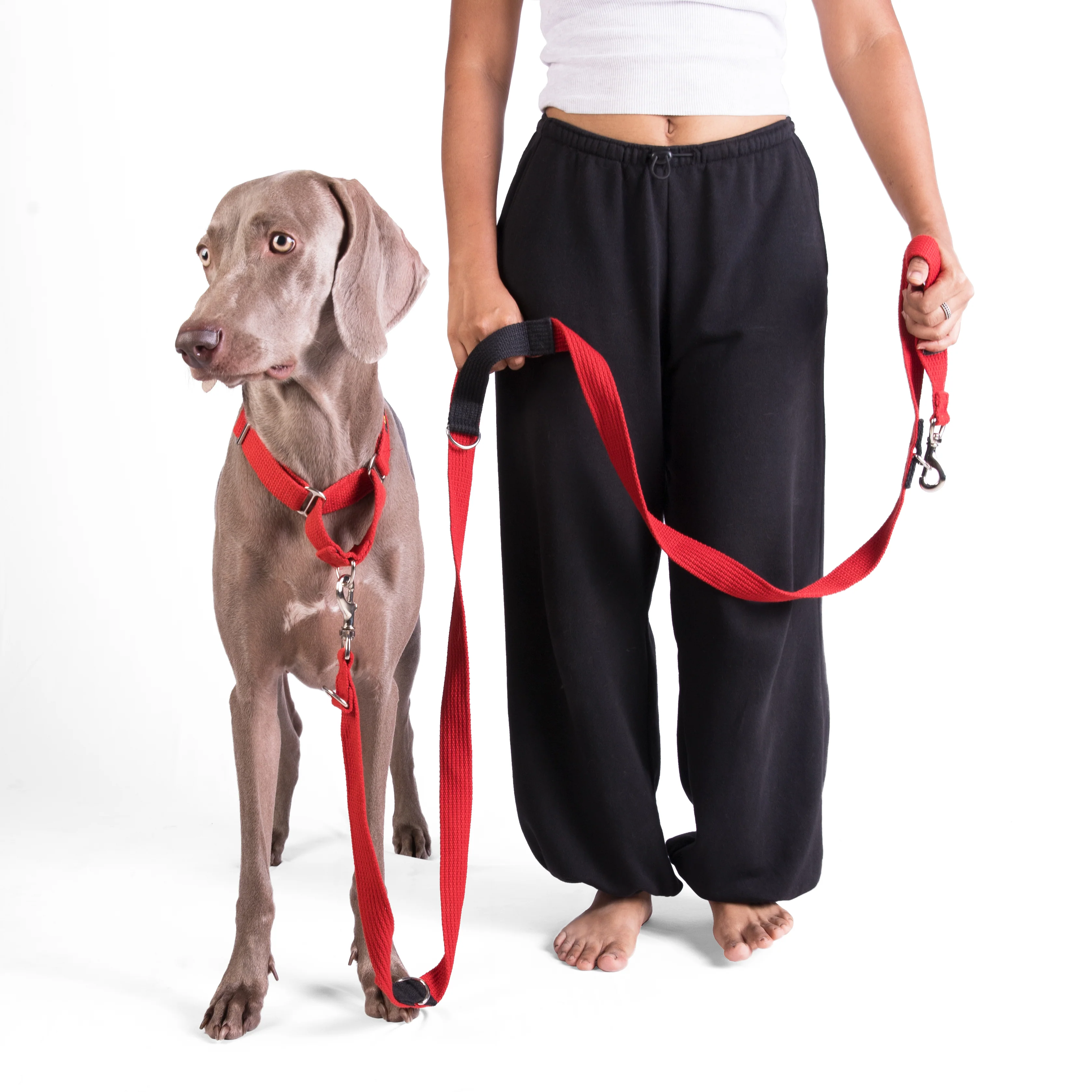 Let's Wag Multi Purpose Leash for Dogs (Red) - Image 5