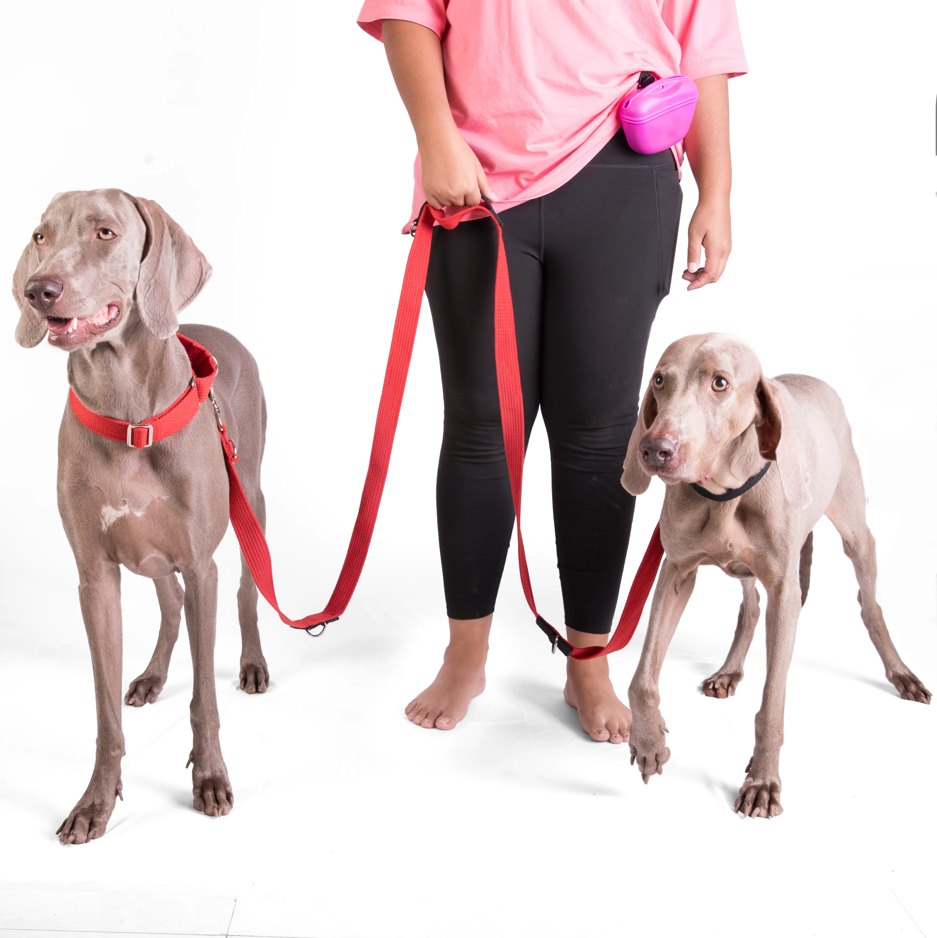 Let's Wag Multi Purpose Leash for Dogs (Red) - Image 6