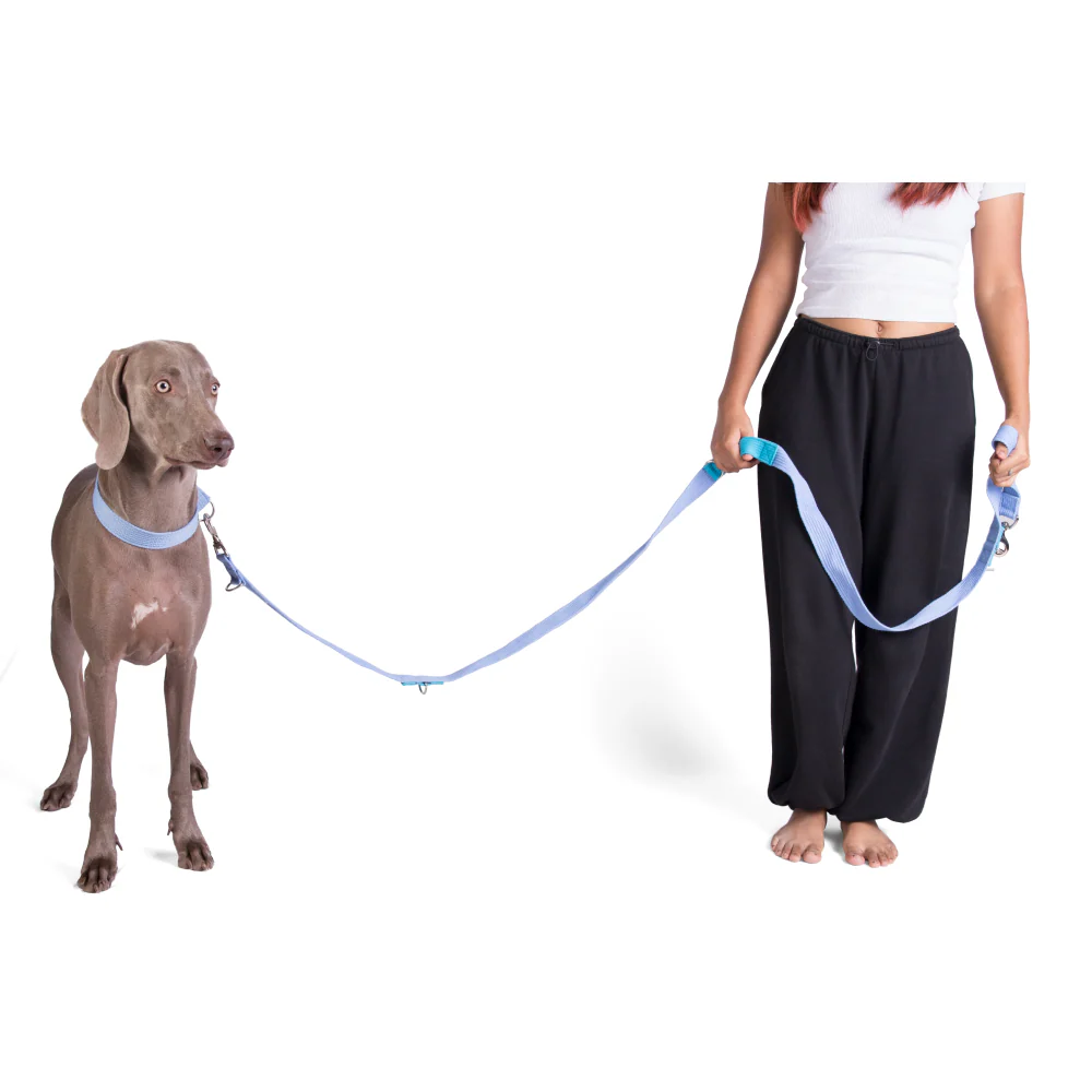 Let's Wag Multi Purpose Leash for Dogs (Sky Blue) - Image 4