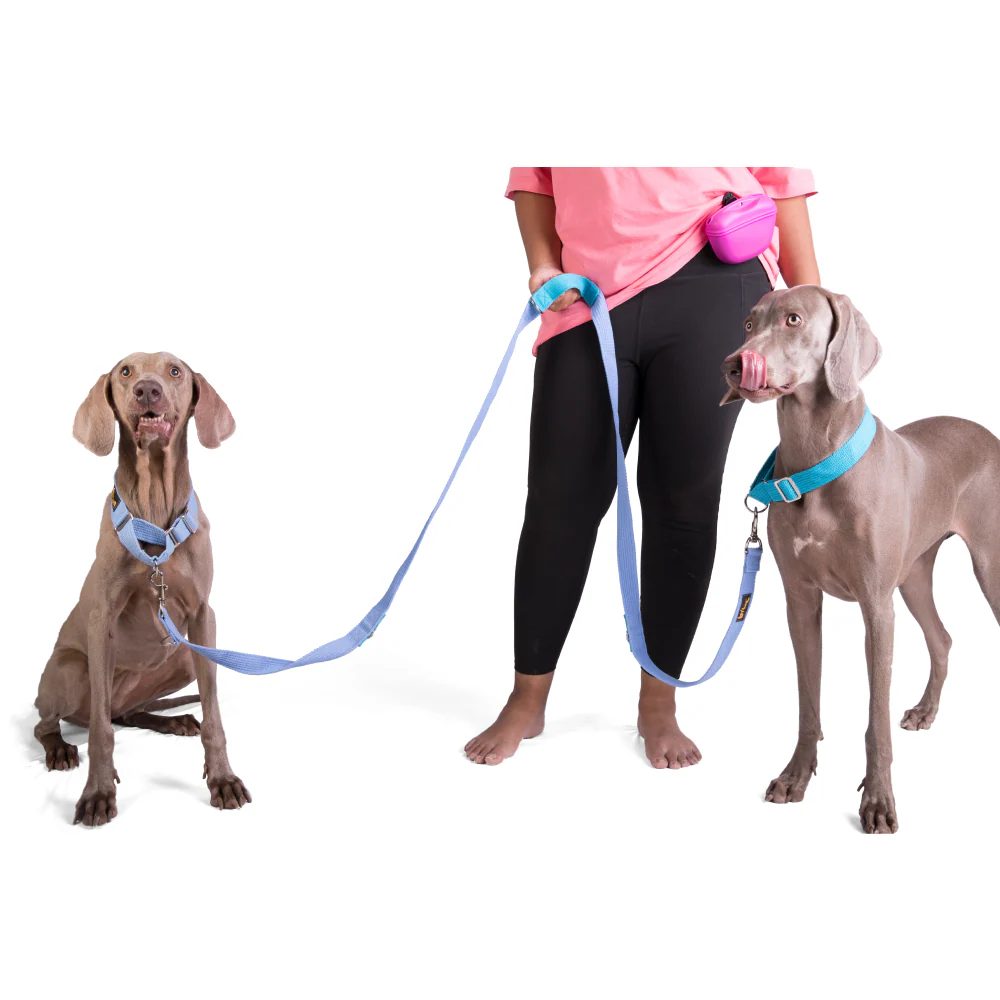Let's Wag Multi Purpose Leash for Dogs (Sky Blue) - Image 5