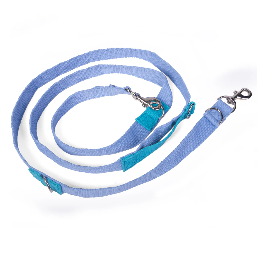 Let's Wag Multi Purpose Leash for Dogs (Sky Blue) - Image 6
