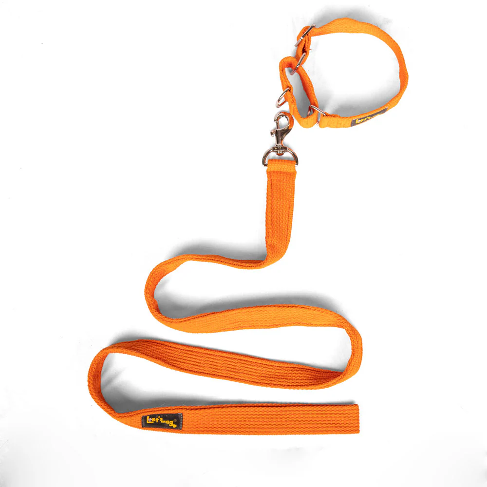Let's Wag Single Handle Fabric Leash for Dogs (Orange) - Image 3