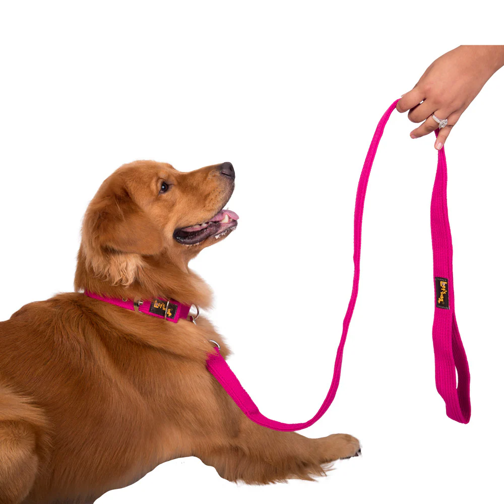 Let's Wag Single Handle Fabric Leash for Dogs (Pink) - Image 5