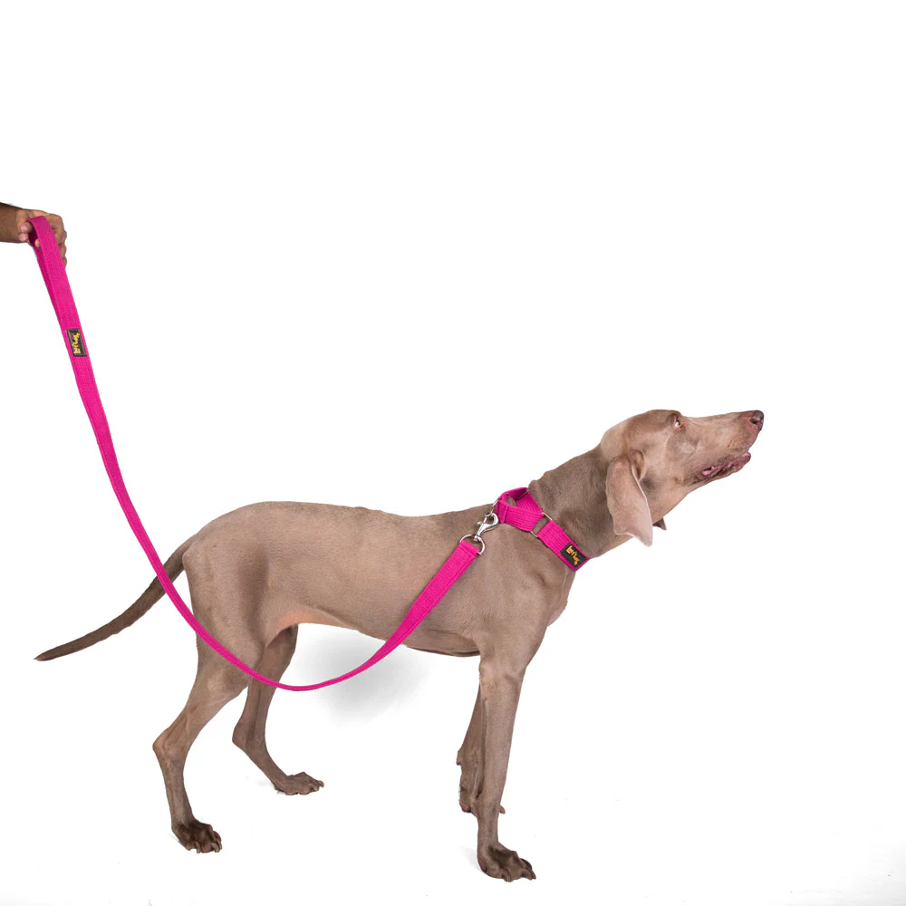 Let's Wag Single Handle Fabric Leash for Dogs (Pink) - Image 7