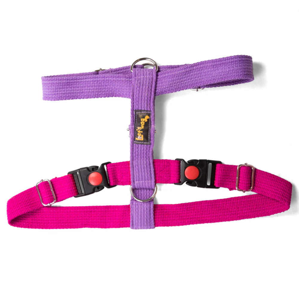 Let's Wag Training and Safety Dual Clip Designed H Harness for Dogs (Pink/Purple) - Image 2