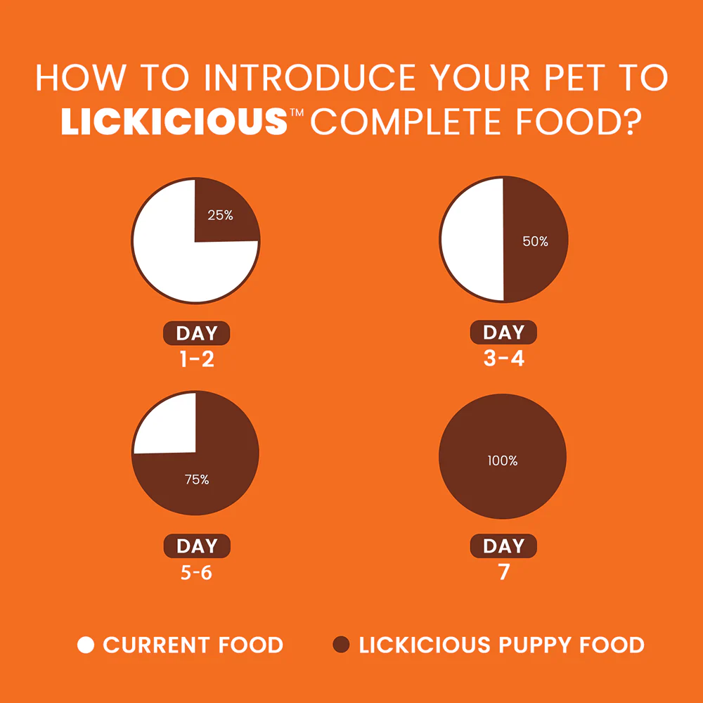Lickicious Chicken, Egg and Milk Flavoured Puppy Dog Dry Food - Image 6