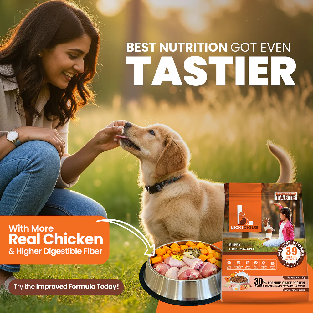 Lickicious Chicken, Egg and Milk Flavoured Puppy Dog Dry Food - Image 7
