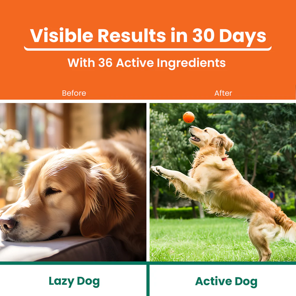 Lickicious Chicken Flavour Multivitamin Syrup for Dogs & Cats - Image 3
