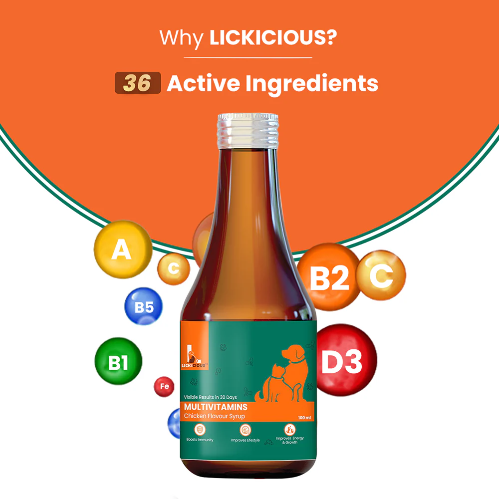 Lickicious Chicken Flavour Multivitamin Syrup for Dogs & Cats - Image 4