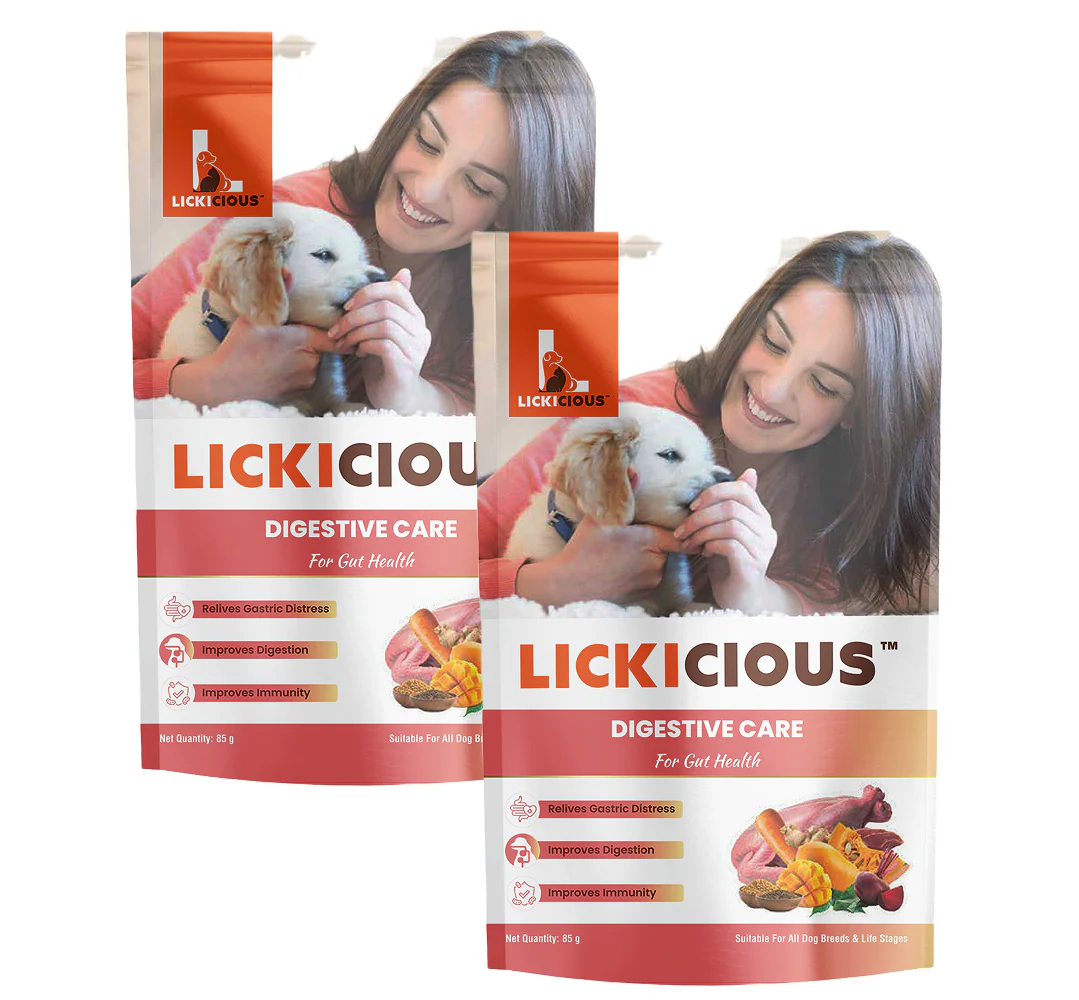 Lickicious Digestive Care Chicken Chewy Stick Dog Treats - Image 8