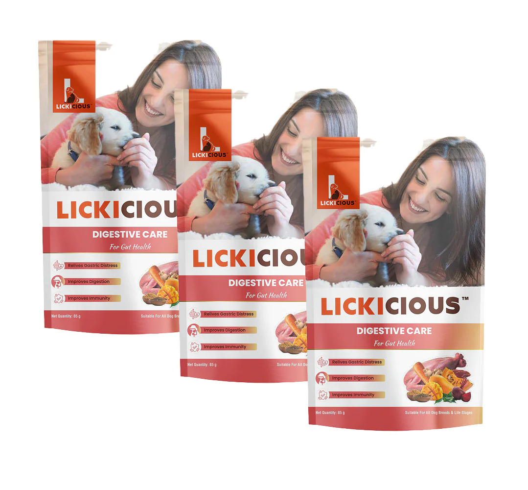 Lickicious Digestive Care Chicken Chewy Stick Dog Treats - Image 9