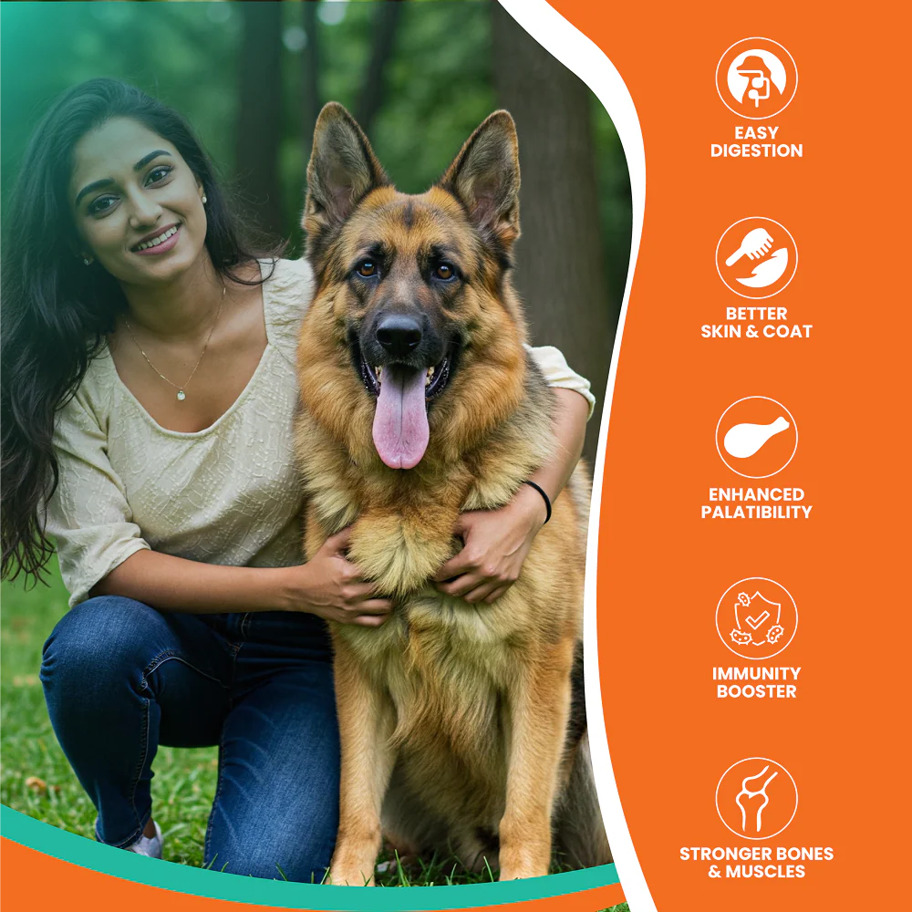 Lickicious Optima Chicken and Vegetable Adult Dog Dry Food - Image 2