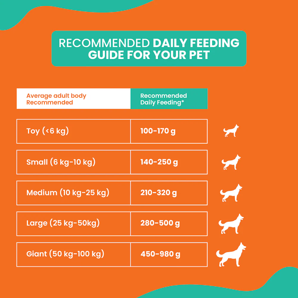 Lickicious Optima Chicken and Vegetable Adult Dog Dry Food - Image 3