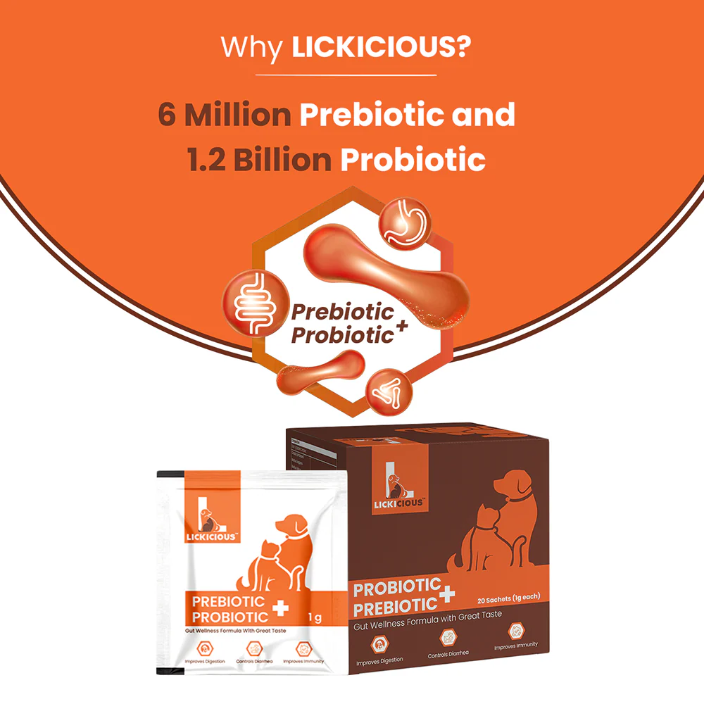 Lickicious Pre and Probiotics Sachets,Gut Health & Digestion for Dogs & Cats - Image 4