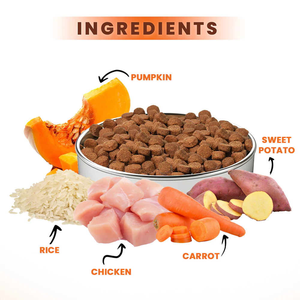 Lickicious Premium Chicken and Vegetable Adult Dog Dry Food - Image 3