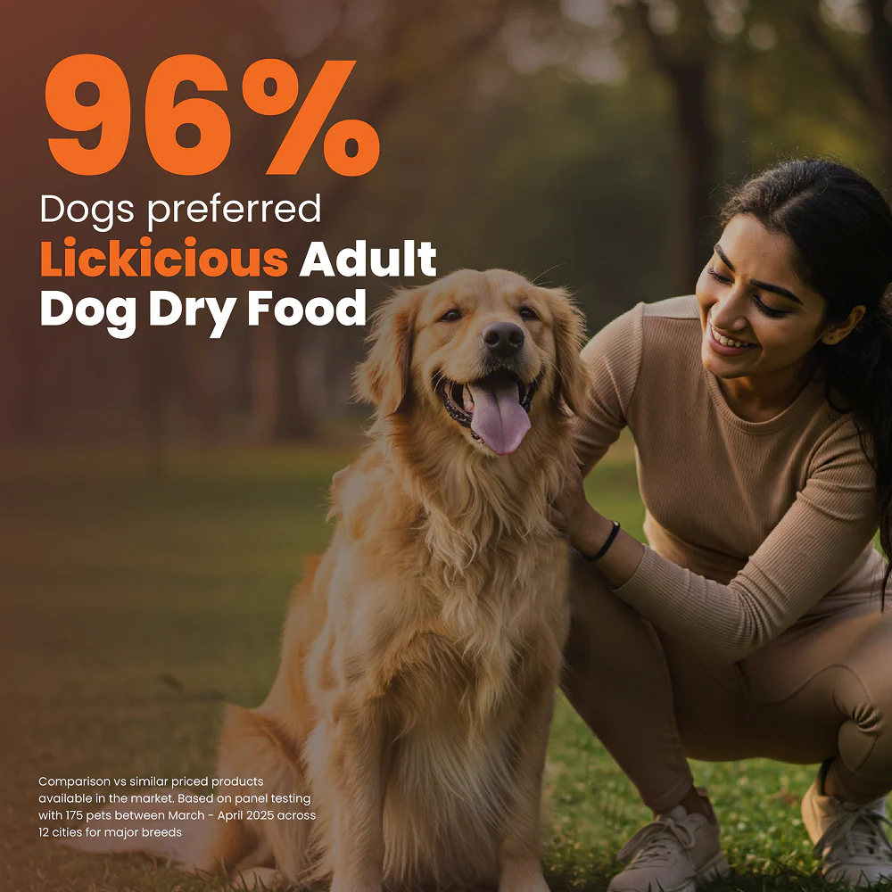 Lickicious Premium Chicken and Vegetable Adult Dog Dry Food - Image 5