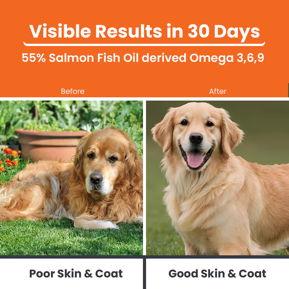 Lickicious Skin & Coat Syrup with Salmon Oil Omega 3 6 9 for Dogs & Cats - Image 2