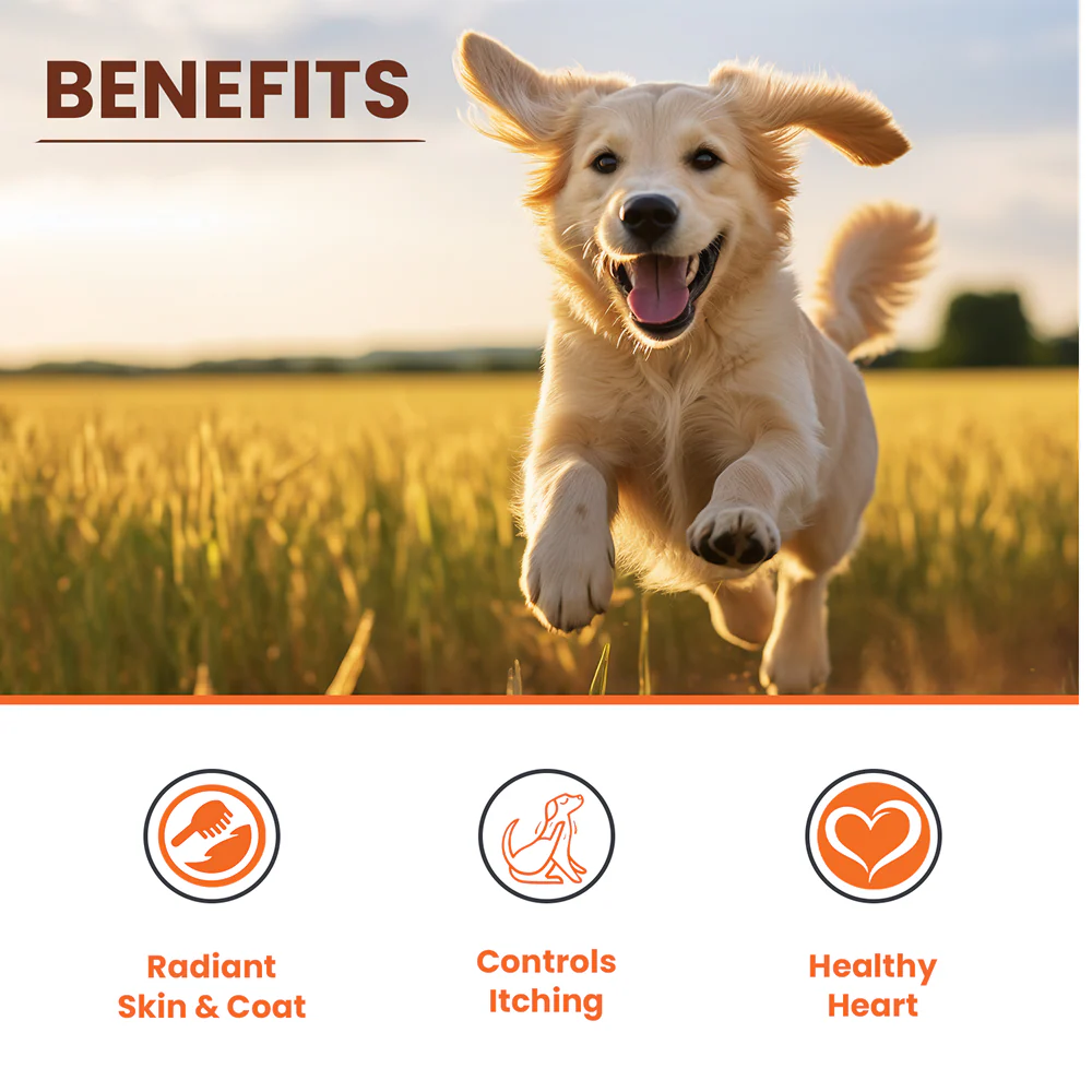 Lickicious Skin & Coat Syrup with Salmon Oil Omega 3 6 9 for Dogs & Cats - Image 3