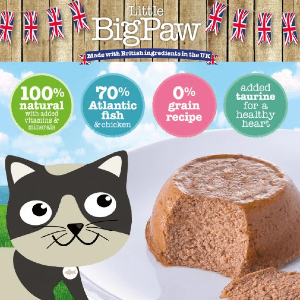 Little Big Paw Atlantic Salmon Mousse Cat Wet Food - Image 3