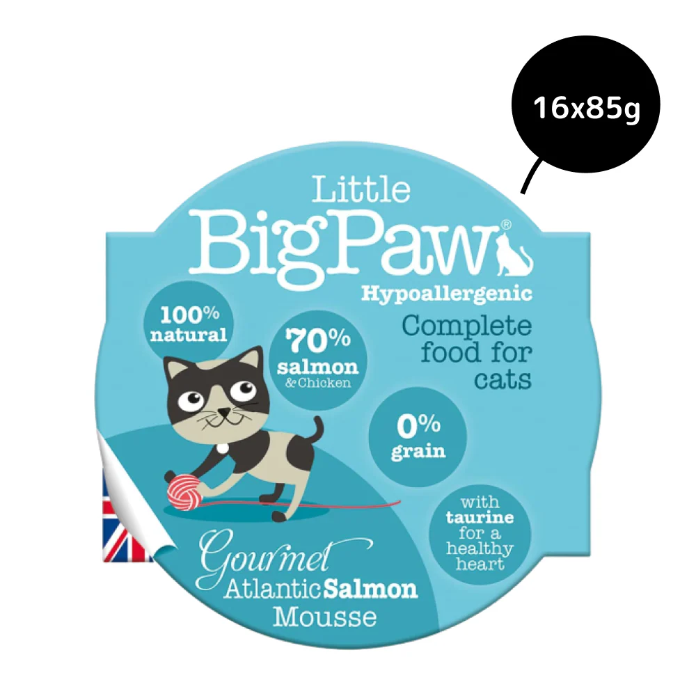 Little Big Paw Atlantic Salmon Mousse Cat Wet Food - Image 5