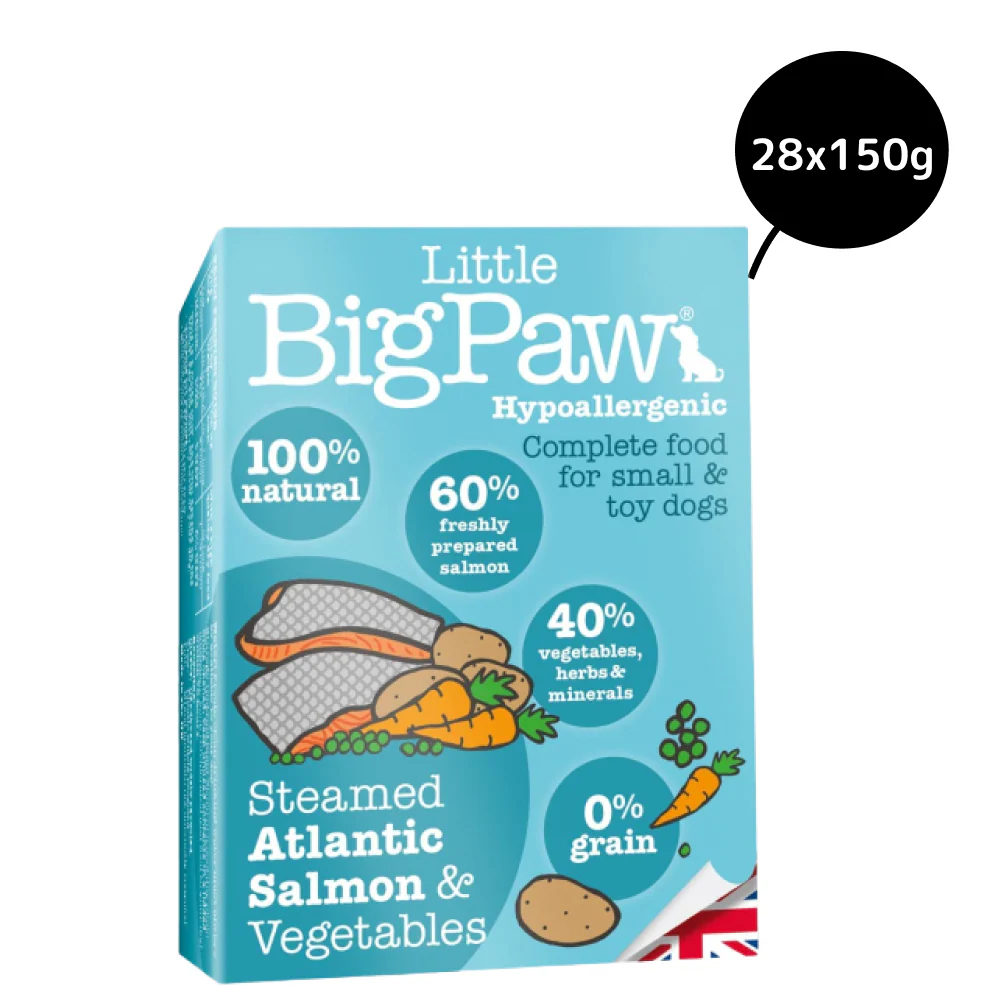 Little Big Paw Atlantic Salmon & Vegetables Terrine Dog Wet Food - Image 3