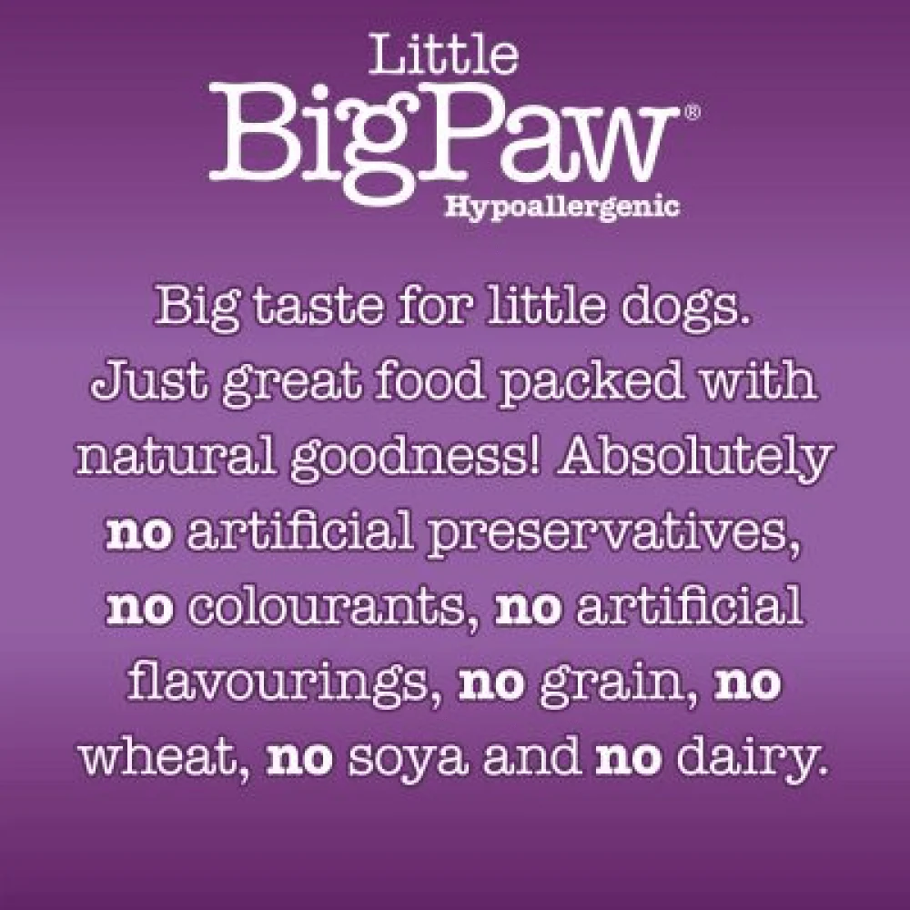 Little Big Paw Atlantic Salmon & Vegetables Terrine Dog Wet Food - Image 2