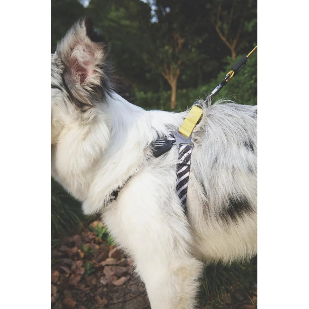 M Pets Wild Safari Harness for Dogs - Image 2