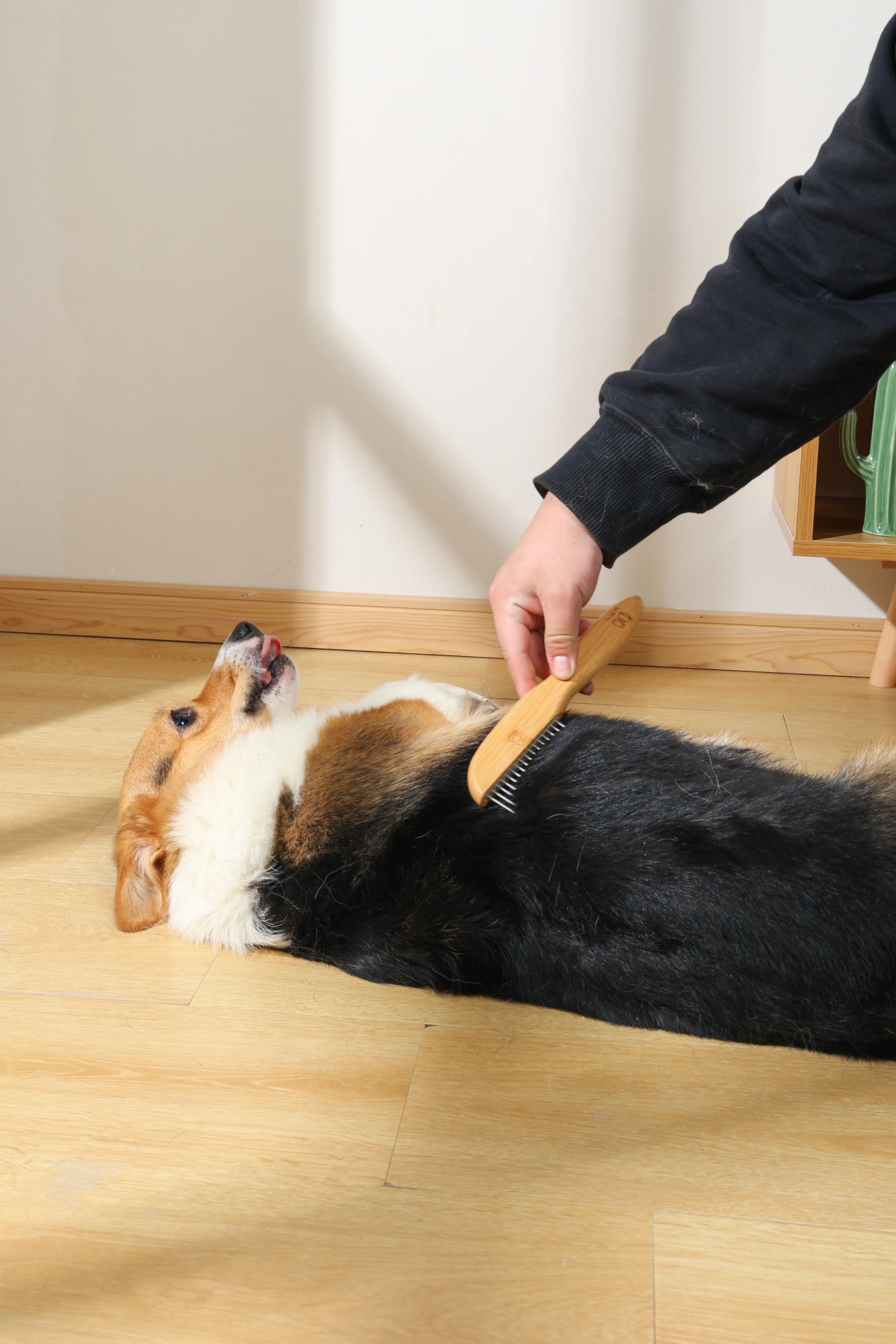 M PETS Bamboo Regular Comb With Rotating Teeth for Dogs and Cats (Brown) - Image 10