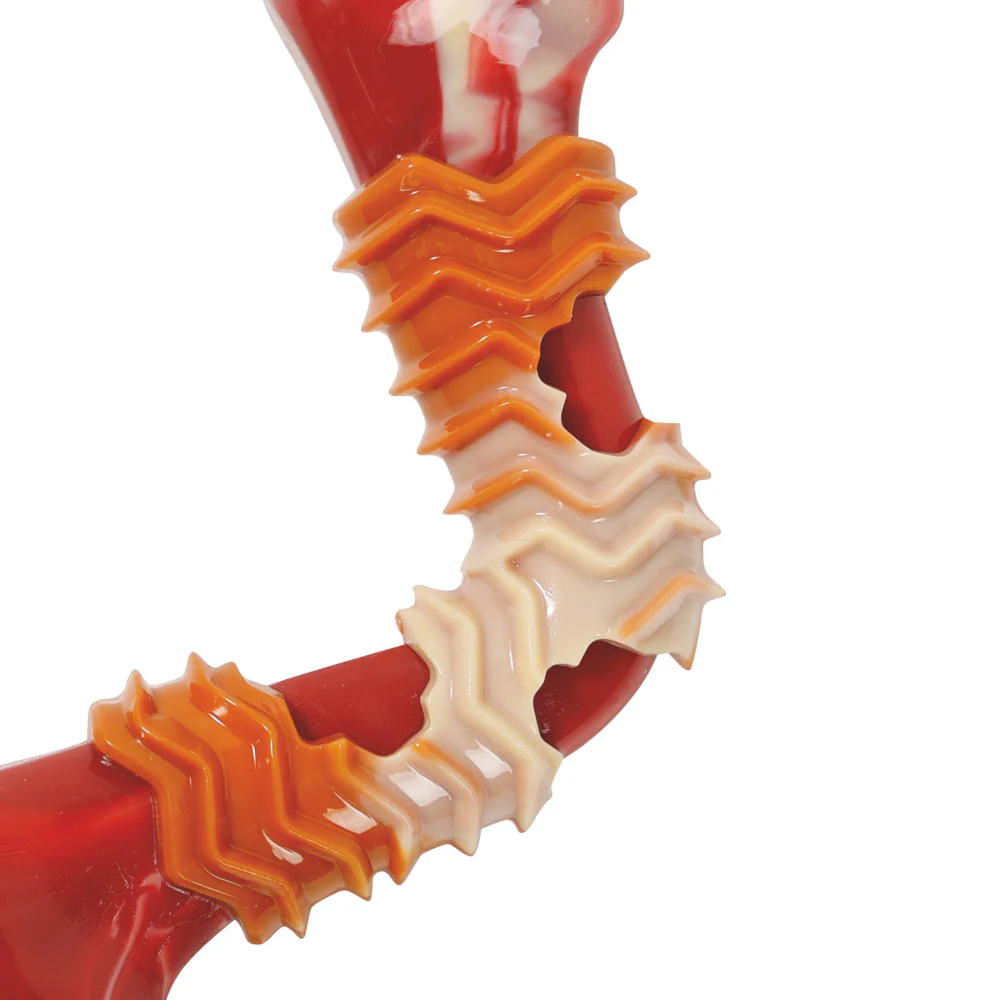 M Pets Carnivore Boomerang Bone Bacon Scented Chew Toy for Dogs (Red) - Image 3