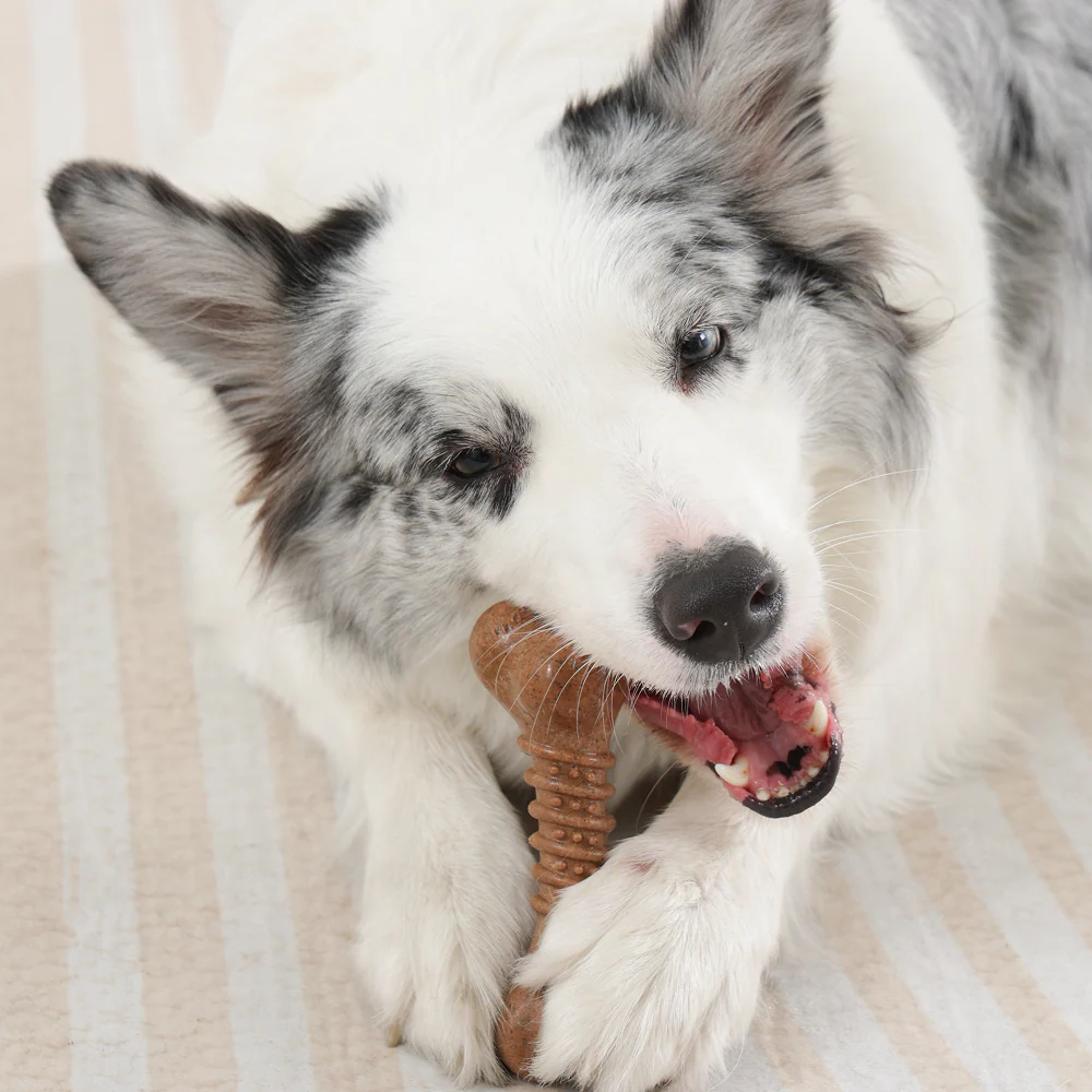 M Pets Chewood Bone Chew Toy for Dogs (Brown) - Image 4