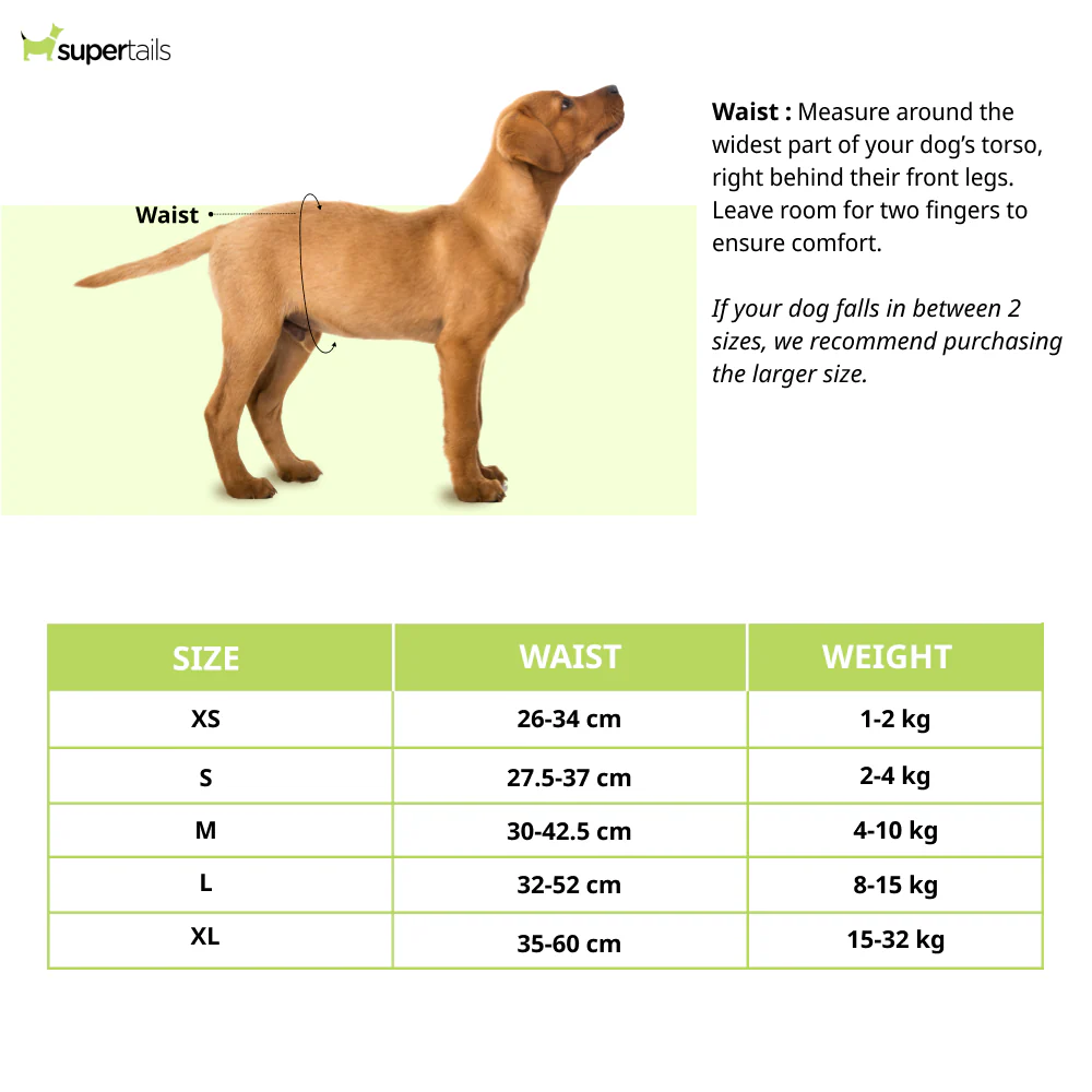 M Pets Diapers for Female Dogs (35x60cm) - Image 2