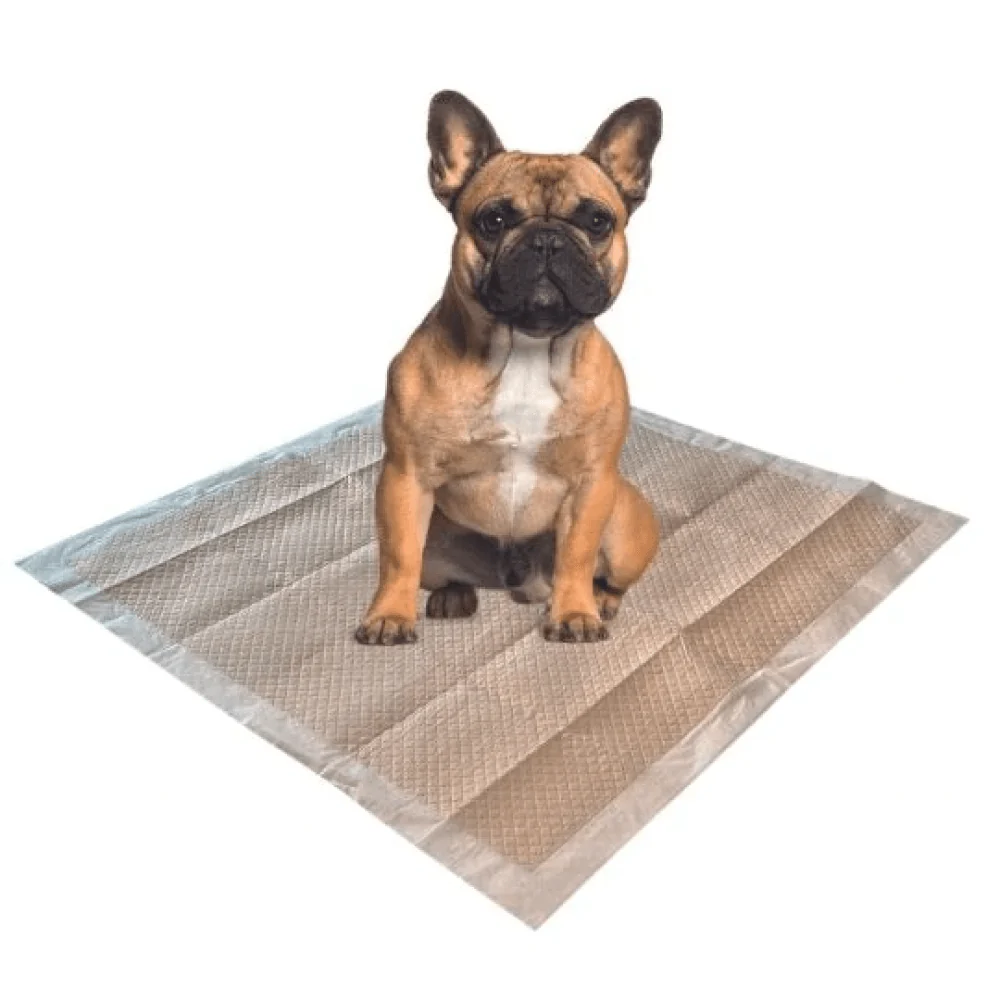 M Pets Eco Training Pads for Puppies (60x60cm) - Image 2