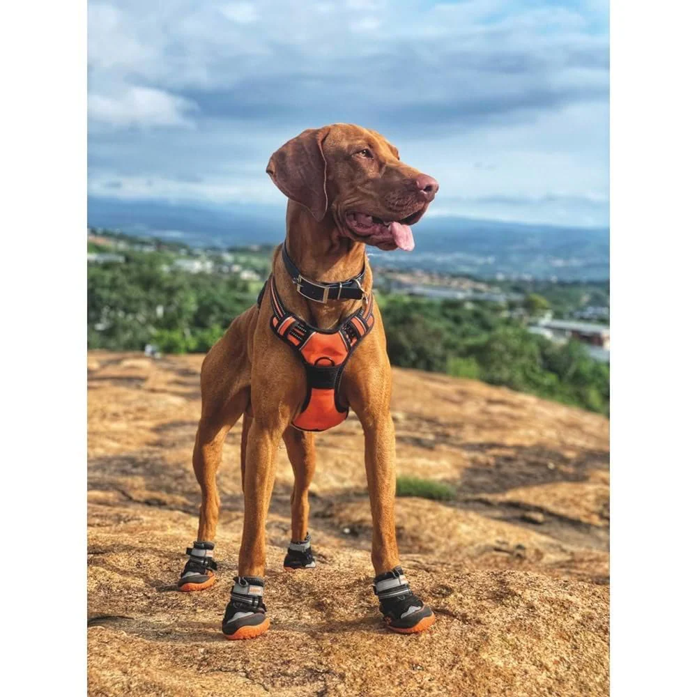 M Pets Hiking Shoes for Dogs (Orange/Black) - Image 6
