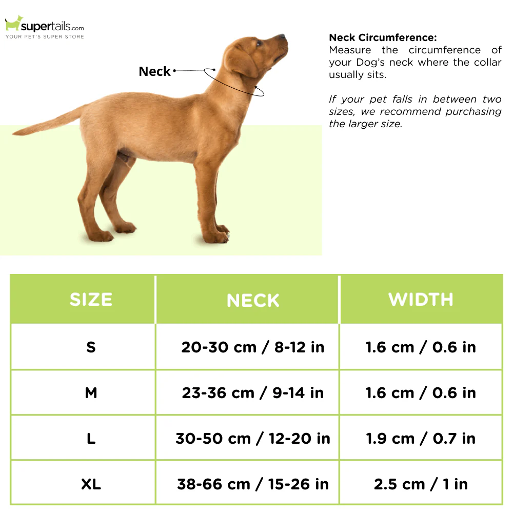 M Pets Jolly Eco Collar for Dogs (Red) - Image 2